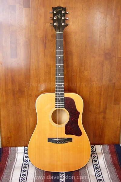 Dave Luxton's Gibson Gospel acoustic guitar