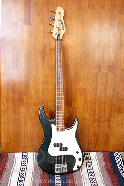 Dave Luxton bass guitar