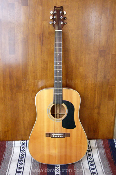 Dave Luxton's Washburn D-13s acoutic guitar